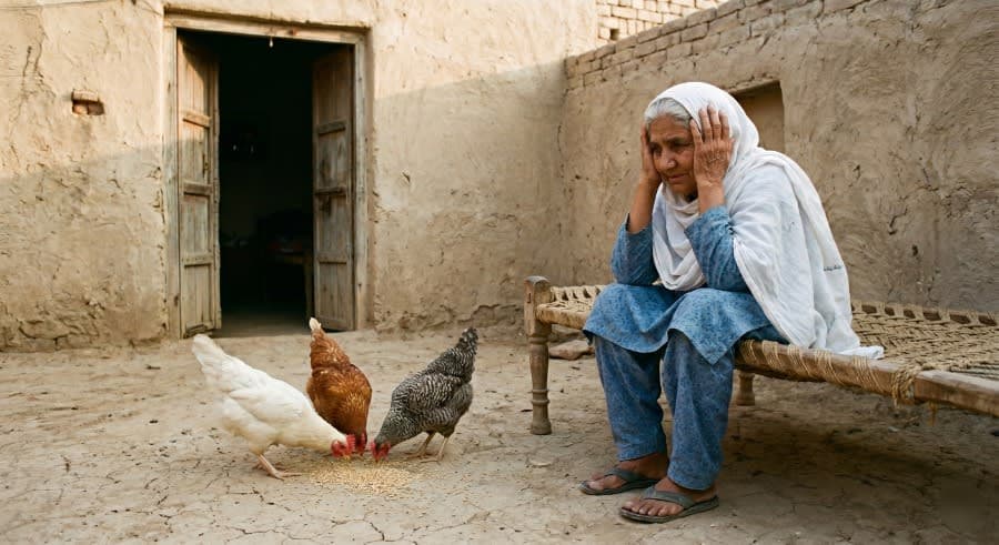 لالی کا چور
